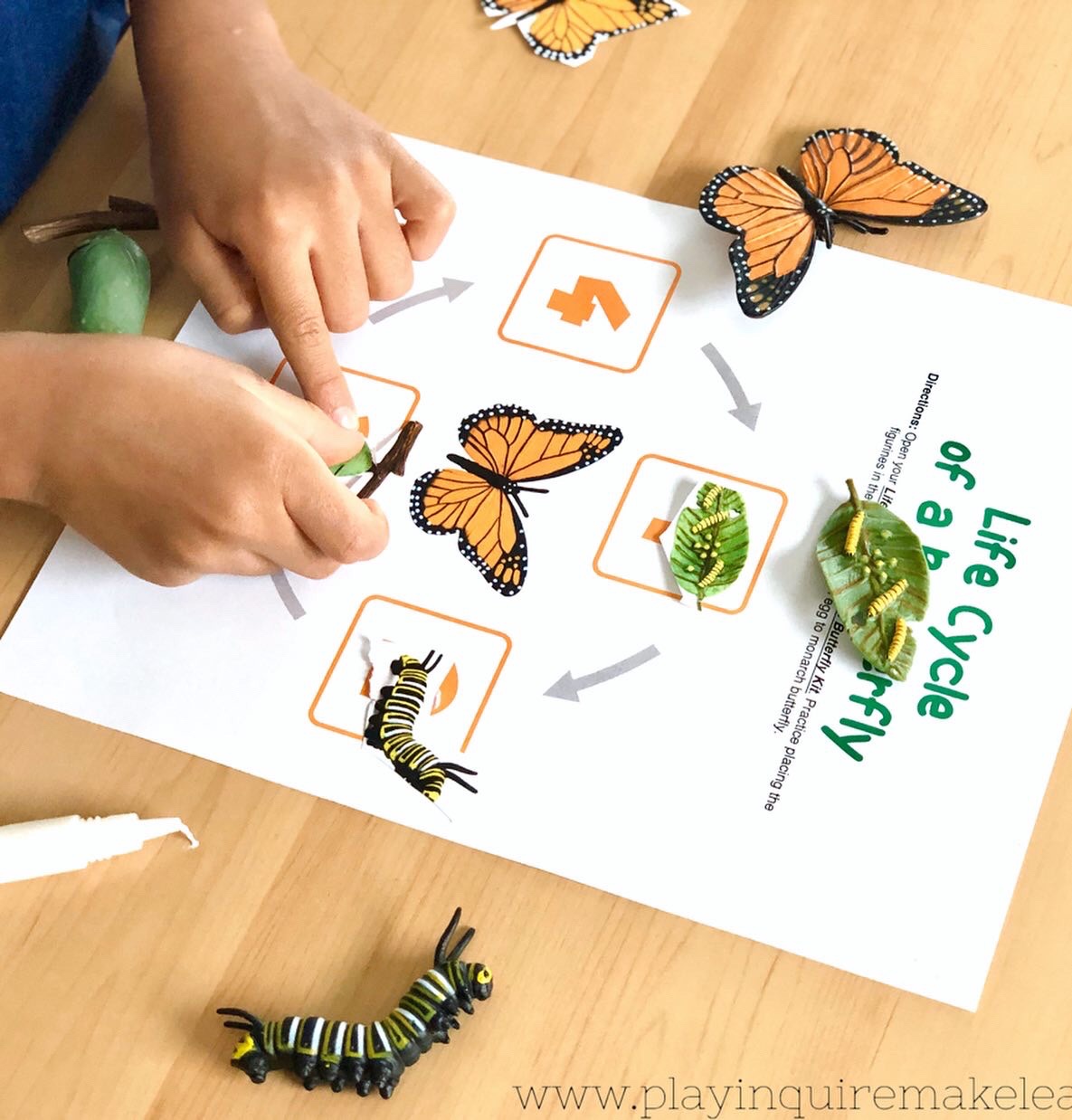 How To Make A Life Cycle of A Butterfly Play Tray – Play. Inquire. Make ...