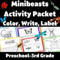 Insects and Bugs MiniBeast Activity Packet- Color, Write, Label