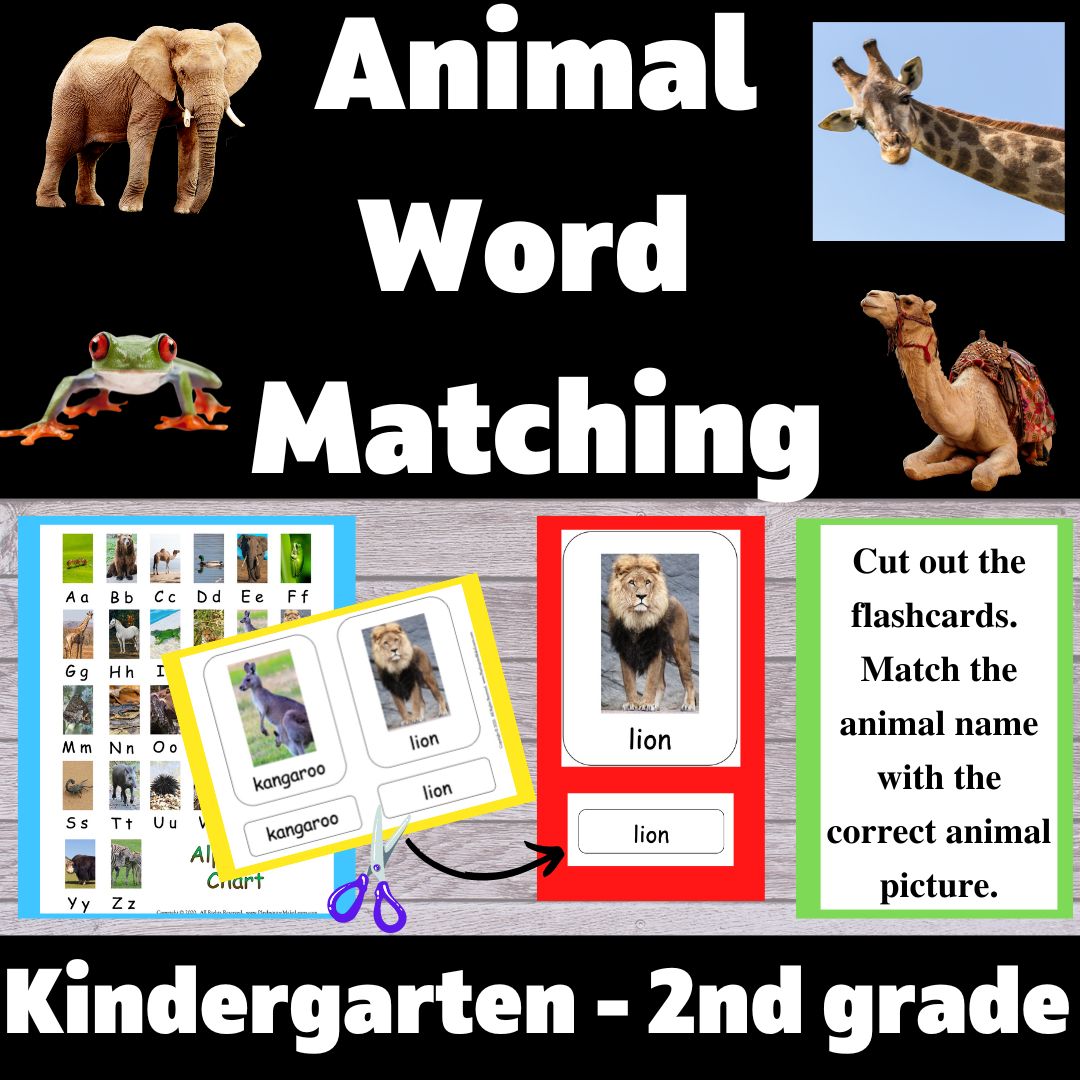 Alphabet Chart and Matching Flashcards with Real Animal Pictures - Play ...