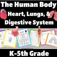 Human Body Systems Bundle: The Heart, Lungs, and Digestive System Supplement Packet
